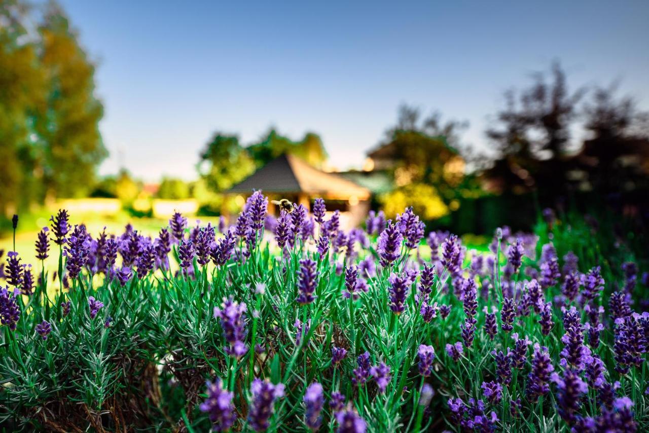 Villa Natura Zator Przeciszów Esterno foto